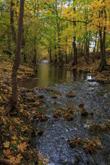 Im Bärenwäldchen an der Ohra