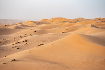 Fototapeta na wymiar Oman Landschaft 11