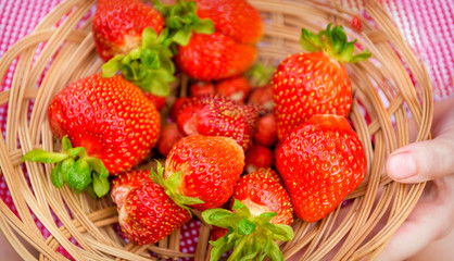 Ripe, juicy and red, strawberries in a plate close-up, in full frame.