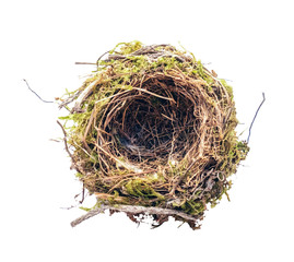 empty bird's nest on a white background