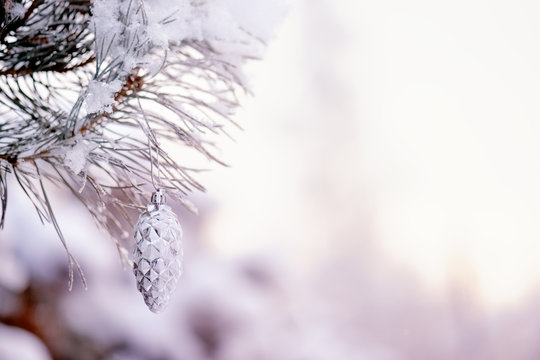 Branch in the snow with cone. Winter background with pine cones.Christmas decoration or interior design background.