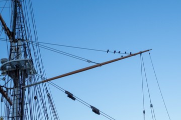 mast of ship with bird silhouettes