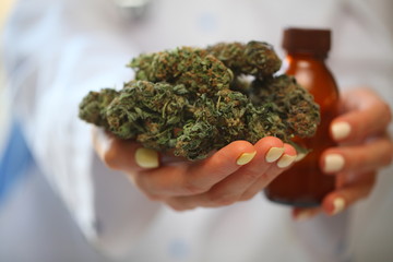 cannabis medical oil in hand doctor