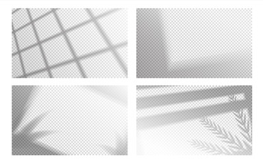 Realistic shadow overlay. Window light with shadows of tropical leaves on transparent background. Vector illustration overlay effect mockup calm contemporary scene wall with blurry outlines plant