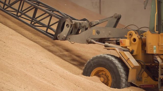 Huge storage facility of agricultural crops. Telescopic handler loading grain at mill storehouse. Agro logistics concept .