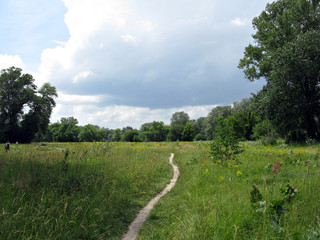 Path at meadow