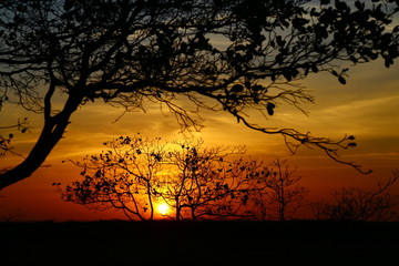 Amanhecer no sertão