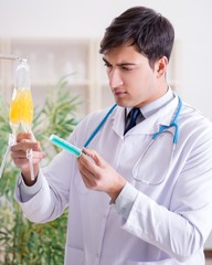 Doctor with bag of blood plasma in hospital