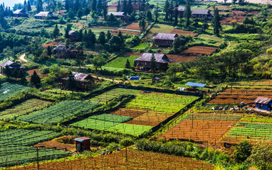 Small scale agriculture in Sapa, Vietnam