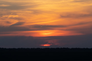The clouds are orange. Sunset on a cloudy day. Black silhouette of the forest.