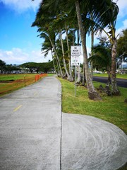 Fototapeta premium path in the park