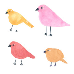 Set of funny yellow and pink birds, hand drawn watercolor illustration