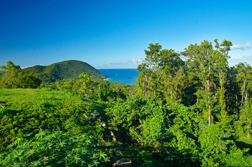 Fototapeta na wymiar The great bay at Deshaies, Basse-Terre, Guadeloupe