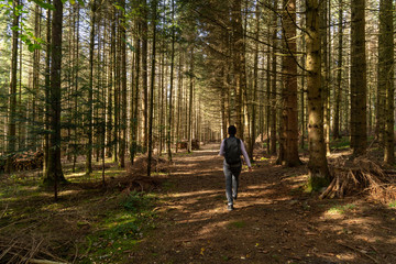 Fototapeta premium Wandern auf dem Heuberg Böttingen / Königsheim Deutschland