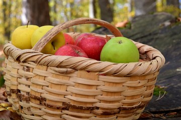 fresh apples in a basket