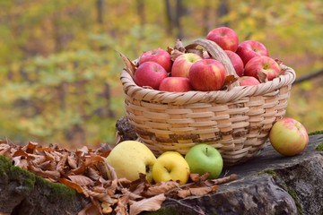 fresh apples in a basket
