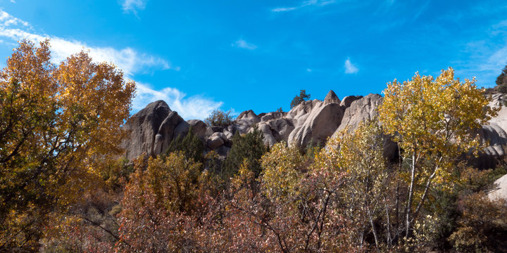 Autumn colors and white rocks at Beaver Dam State Park in Nevada