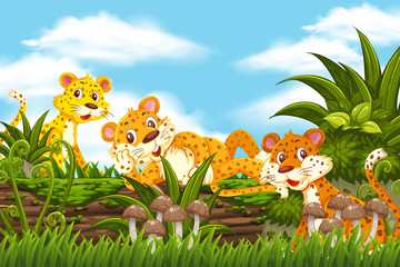 Cheetah in jungle scene
