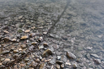 High Angle View Of Pebbles In River