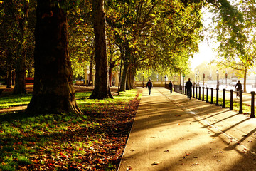 Saturday morning in Green Park, London