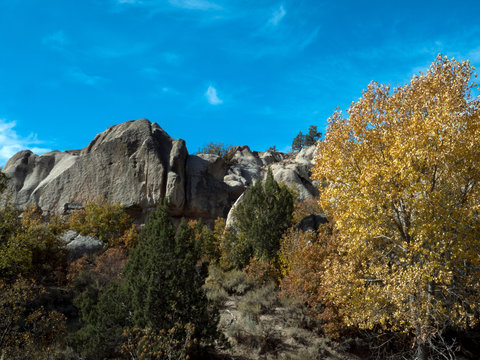 A bright-yellow tree and steep cliffs at Beaver Dam State Park in Nevada