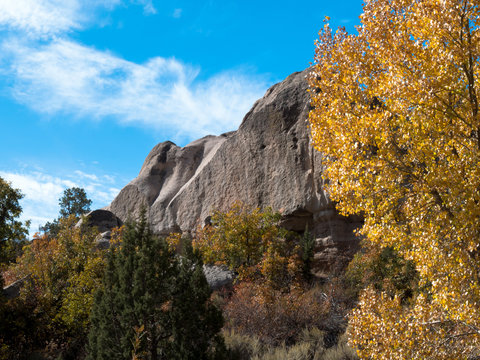 A bright-yellow tree and steep cliffs at Beaver Dam State Park in Nevada