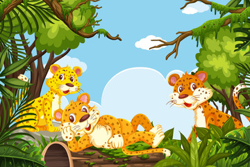 Cheetahs in jungle scene