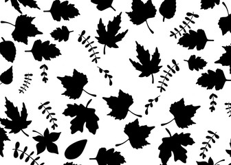 set of leaves illustration on black background 