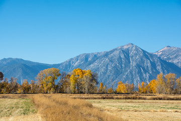Road 395 (from Tahoe to Yosemite). View from the car. 