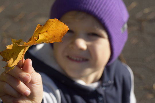 autumn boy holds a yellow leaf