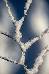 winter Stockholm, Sweden