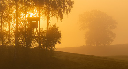 Hunting tower on the edge of the forest during a beautiful sunrise on a foggy morning