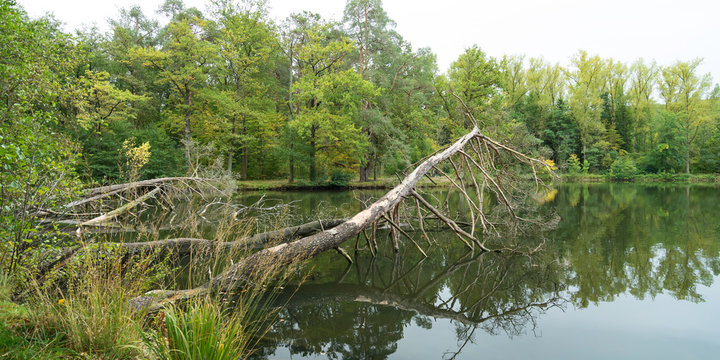 Pfaffensee