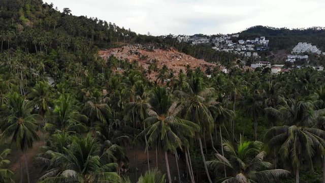 Tropical terrain covered with endangered forests and luxury villas. Drone view of large tropics with ecosystem disturbance due to buildings and deforestation. Koh Samui. Coconut palm plantations