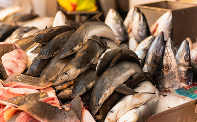 Tiburón pequeño a la venta en una pescaderia vietnamita