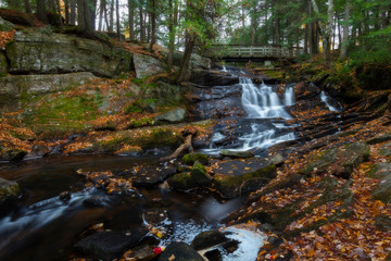 Fototapeta premium Potts Falls of Bracebridge, In Autumn