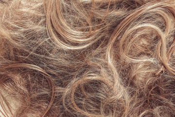 Hair close-up, background. Flat lay. Scissors, comb and background of hair with curls. The concept of haircuts, care, hair loss, baldness