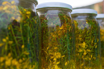 Alternative medicine hypericum perforatum in Turkey.