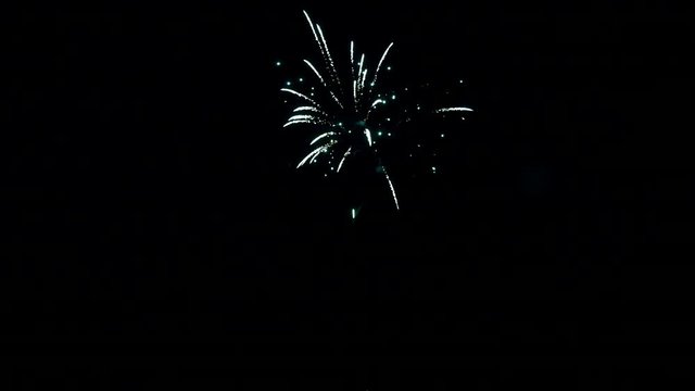 Multicolored firework element on black background night to create video about salute on holiday and pyrotechnics happy New Year, Christmas, birthday greetings.