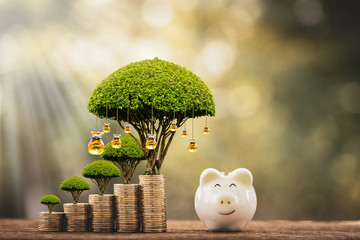 Piggy bank and stacked coin and gold money bag of tree with growing value as destinations in the public park, Saving money for planning business  investment in the future concept. - obrazy, fototapety, plakaty