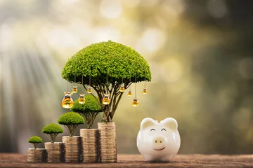 Fotobehang Piggy bank and stacked coin and gold money bag of tree with growing value as destinations in the public park, Saving money for planning business  investment in the future concept. © Watchara