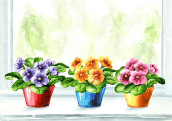 Bright colored potted flowers on the windowsill