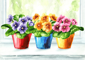 Fototapeta na wymiar Bright potted flowers on the windowsill. Watercolor hand drawn illustration isolated on white background