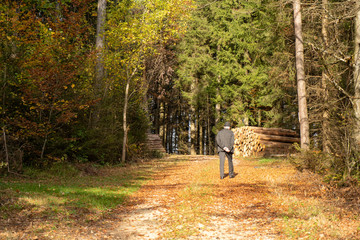 Fototapeta premium Herbst auf dem Heuberg Baden-Württemberg Deutschland 