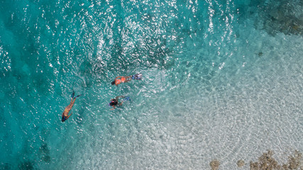 Three young girls snorkeling in blue waters above coral reef  in tropical Caribbean sapphire crystal clear calm waters  People and lifestyle concept