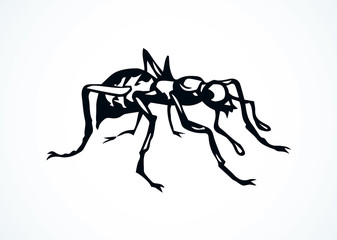 Ant. Vector drawing