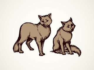 Wolf. Vector drawing