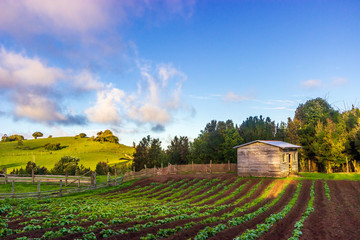 Chepu, Chiloe Island, Chile - Sunset Hour over the Organic Eco Farm in Chepu