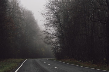Fototapeta premium autumn misty morning forest road