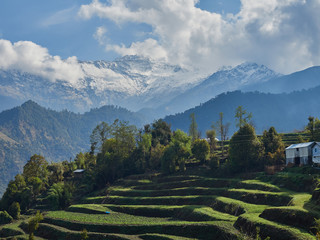 Rice terraces and a farmhouse amid the hills and the Annapurna massif with snow-capped peaks. Circular route around Annapurna.